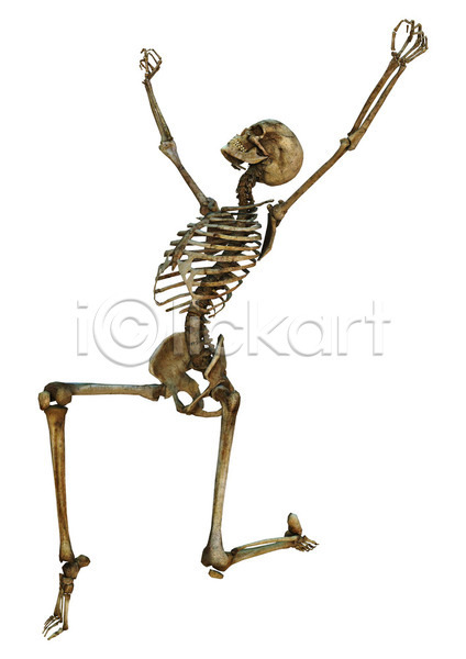 사람 사람없음 여자 JPG 일러스트 포토 해외이미지 건강 고립 골격 과학 그래픽 만들기 모델 바비큐립 뼈 생물학 신체 약 옛날 죽음 척추 할로윈 해골모형 해부 해외202004 흰색