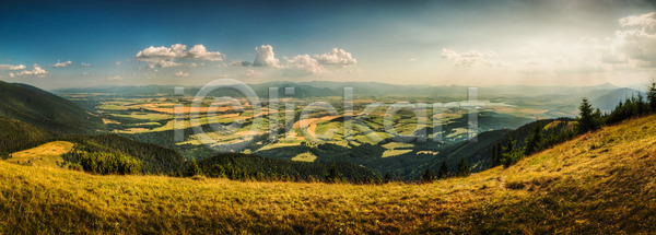 활발 사람없음 JPG 포토 해외이미지 경사 구름(자연) 나무 땅 맑음 산 숲 슬로바키아 야외 언덕 여행 유럽 자연 절정 초록색 침엽수 파란색 풍경(경치) 하늘 하이킹 해외202004
