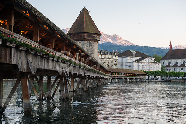 사람없음 JPG 포토 다리(건축물) 두마리 루체른 백조 스위스 야외 유럽풍경 주간 풍경(경치) 해외풍경 호수