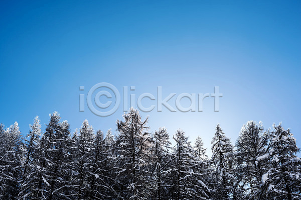 사람없음 JPG 포토 겨울 겨울풍경 나무 눈(날씨) 스위스 야외 유럽풍경 자연 주간 체르마트 풍경(경치) 하늘 해외풍경