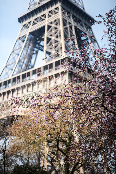 사람없음 JPG 포토 벚꽃 봄 야외 에펠탑 유럽풍경 주간 파리(프랑스) 풍경(경치) 프랑스 해외풍경