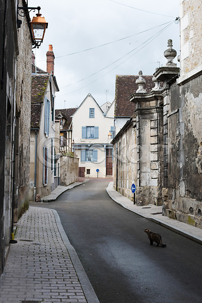 사람없음 JPG 포토 거리 고양이 길고양이 동물라이프 마을 반려 야외 유럽풍경 주간 풍경(경치) 프랑스 한마리 해외풍경