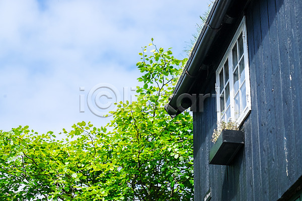 사람없음 JPG 로우앵글 포토 나무 맑음 스트레이모이섬 야외 잎 자연 주간 주택 창틀 페로제도 풍경(경치) 해외풍경 화분