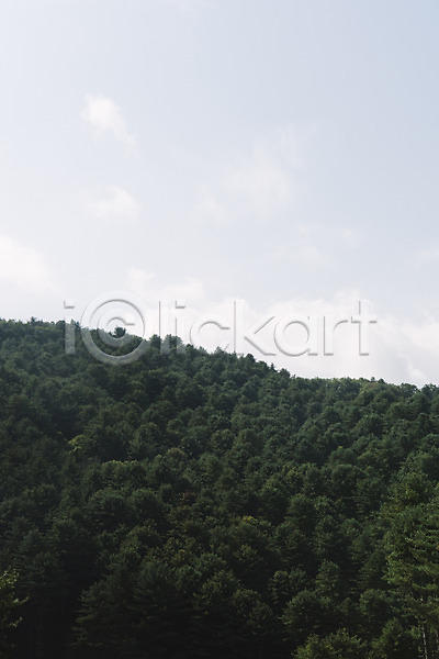 사람없음 JPG 포토 나무 산 야외 주간 풍경(경치) 하늘