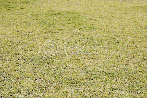 사람없음 JPG 포토 야외 연두색 자연 잔디 주간 풍경(경치)