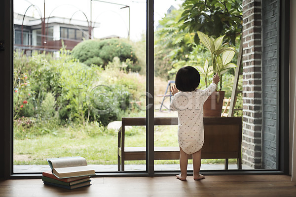 아기 어린이 여자 여자아기한명만 한국인 한명 JPG 뒷모습 포토 서기 실내 전신 정원 창문 책