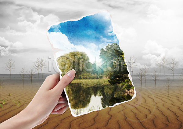 신체부위 PSD 편집이미지 가뭄 구름(자연) 그린캠페인 나무 사막 손 자연보호 편집 하늘 호수