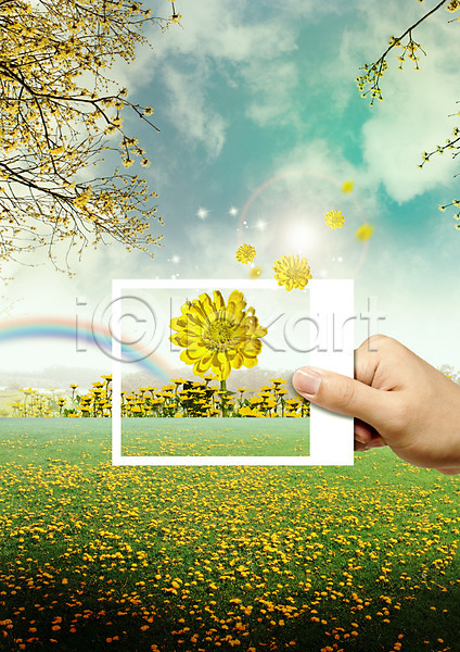 신체부위 PSD 편집이미지 구름(자연) 꽃 꽃밭 나뭇가지 들기 무지개 봄 손 자연 편집 폴라로이드사진 하늘