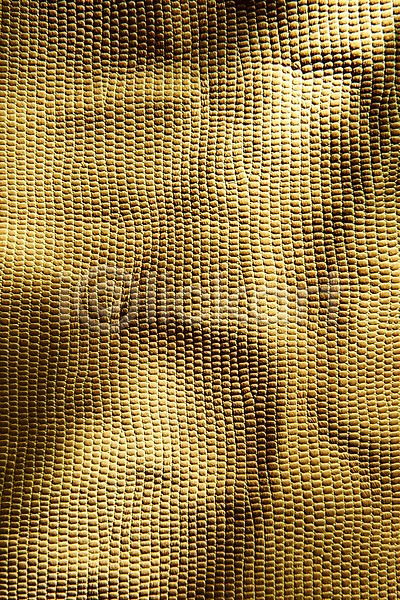 사람없음 JPG 근접촬영 포토 가죽 구김 노란색 무늬 백그라운드 재질 직물 질감