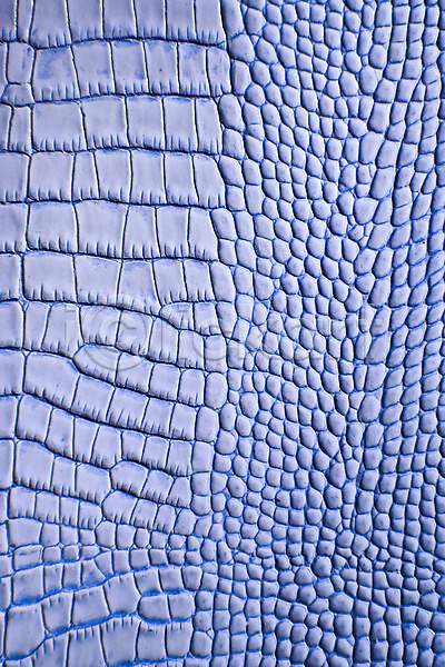 사람없음 JPG 근접촬영 포토 가죽 무늬 백그라운드 악어가죽 재질 직물 질감 파란색