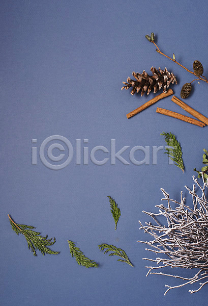 사람없음 JPG 포토 겨울 나뭇가지 나뭇잎 눈(날씨) 백그라운드 솔방울 스튜디오촬영 실내 장식 크리스마스