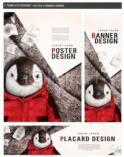 사람없음 PSD ZIP 배너템플릿 가로배너 겨울 배너 세로배너 세트 스웨터 얼음 패딩 펭귄 포스터 현수막