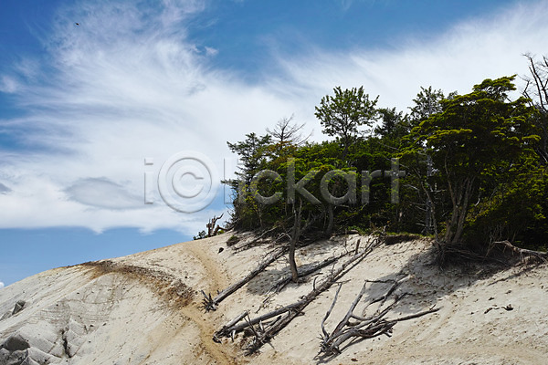사람없음 JPG 포토 나무 바위 산 야외 자연 절벽 주간 풍경(경치)