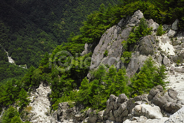 사람없음 JPG 포토 나무 바위 산 야외 자연 주간 풍경(경치)