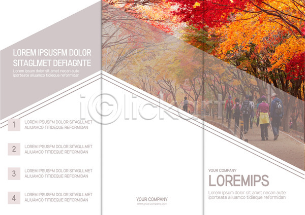 여러명 AI(파일형식) 뒷모습 템플릿 3단접지 가을(계절) 나무 단풍 등산 등산객 리플렛 북디자인 북커버 숲 자연 출판디자인 팜플렛 표지 표지디자인