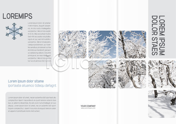 사람없음 AI(파일형식) 템플릿 3단접지 겨울 나무 눈송이 리플렛 북디자인 북커버 설경 자연 출판디자인 팜플렛 표지 표지디자인
