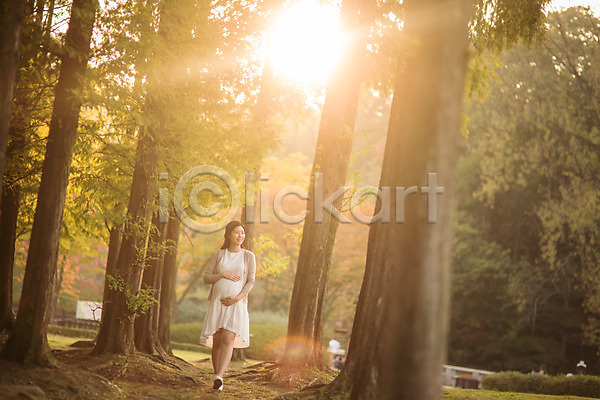 산책 30대 성인 성인여자한명만 여자 한국인 한명 JPG 앞모습 포토 걷기 공원 나무 쓰다듬기 야외 웃음 응시 임산부 임신 전신 주간 태교 햇빛