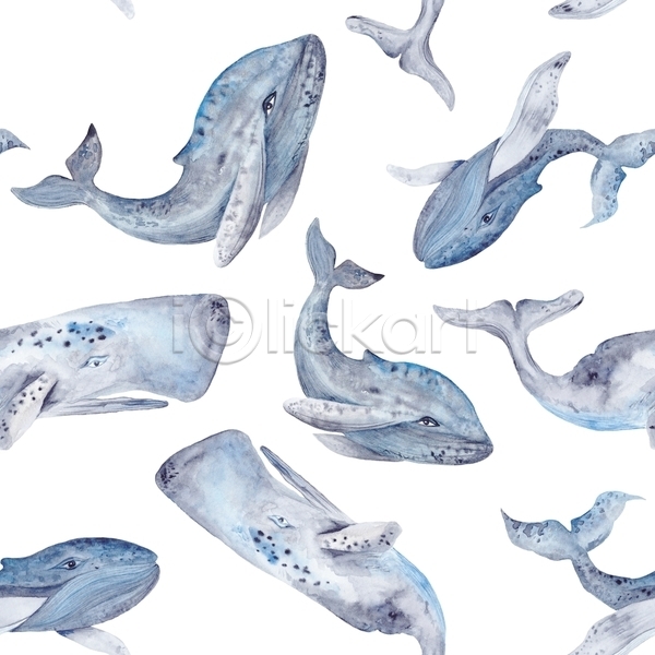 사람없음 JPG 포토 해외이미지 고래 동물 수채화(물감) 패턴 해외202004