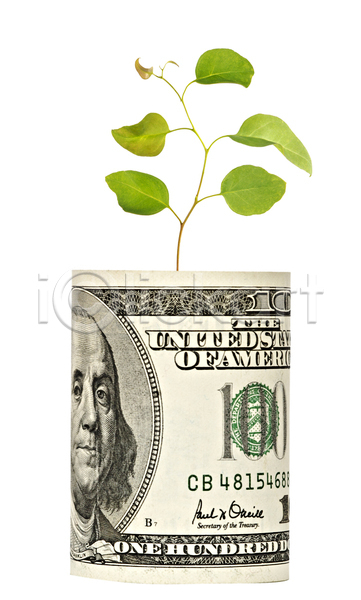 투자 사람없음 JPG 포토 해외이미지 경제 계산서 고립 금융 나무 냄비 닫기 달러 돈 모종 묘목 미국 발자국 백그라운드 비즈니스 새싹 생태학 세로 식물 자연 재산 지폐 초록색 컨셉 해외202004 환경 흰색