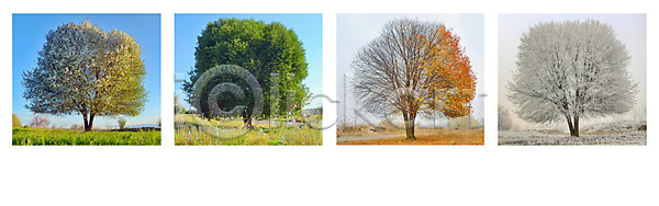 고독 변화 성장 추위 사람없음 JPG 포토 해외이미지 1 4 가을 겨울 계절 구름 꿈 나무 날씨 내추럴 노란색 농업 땅 방법 벌거벗은 봄 시골 식물 싱글 야외 언덕 여름 연도 잎 자연 장면 초록색 파노라마 파란색 풍경 하늘 해외202004 해외포토 흰색