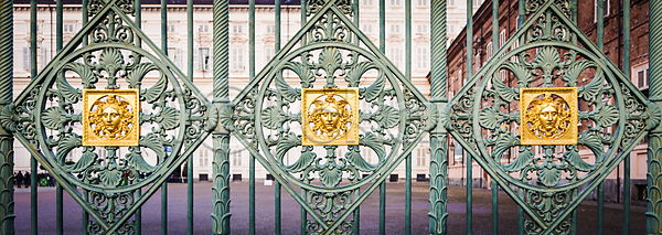 보호 화려 사람없음 JPG 포토 해외이미지 건축양식 골동품 그런지 금속 대문 머리 묘사 미술 벽 보안 수확 야외 역사 옛날 울타리 유럽 이탈리아 장식 철 철강 패턴 프레임 해외202004 해외포토 황금