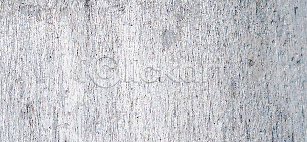 사람없음 JPG 포토 해외이미지 나무 나무껍질 내추럴 디자인 목재 묘사 미술 백그라운드 벽 벽지 손바닥 식물 옛날 유기농 질감 추상 카피스페이스 패턴 해외202004 흰색