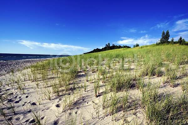 사람없음 JPG 포토 해외이미지 나무 네덜란드 모래 모래언덕 물 미국 여행 파란색 하늘 해외202004